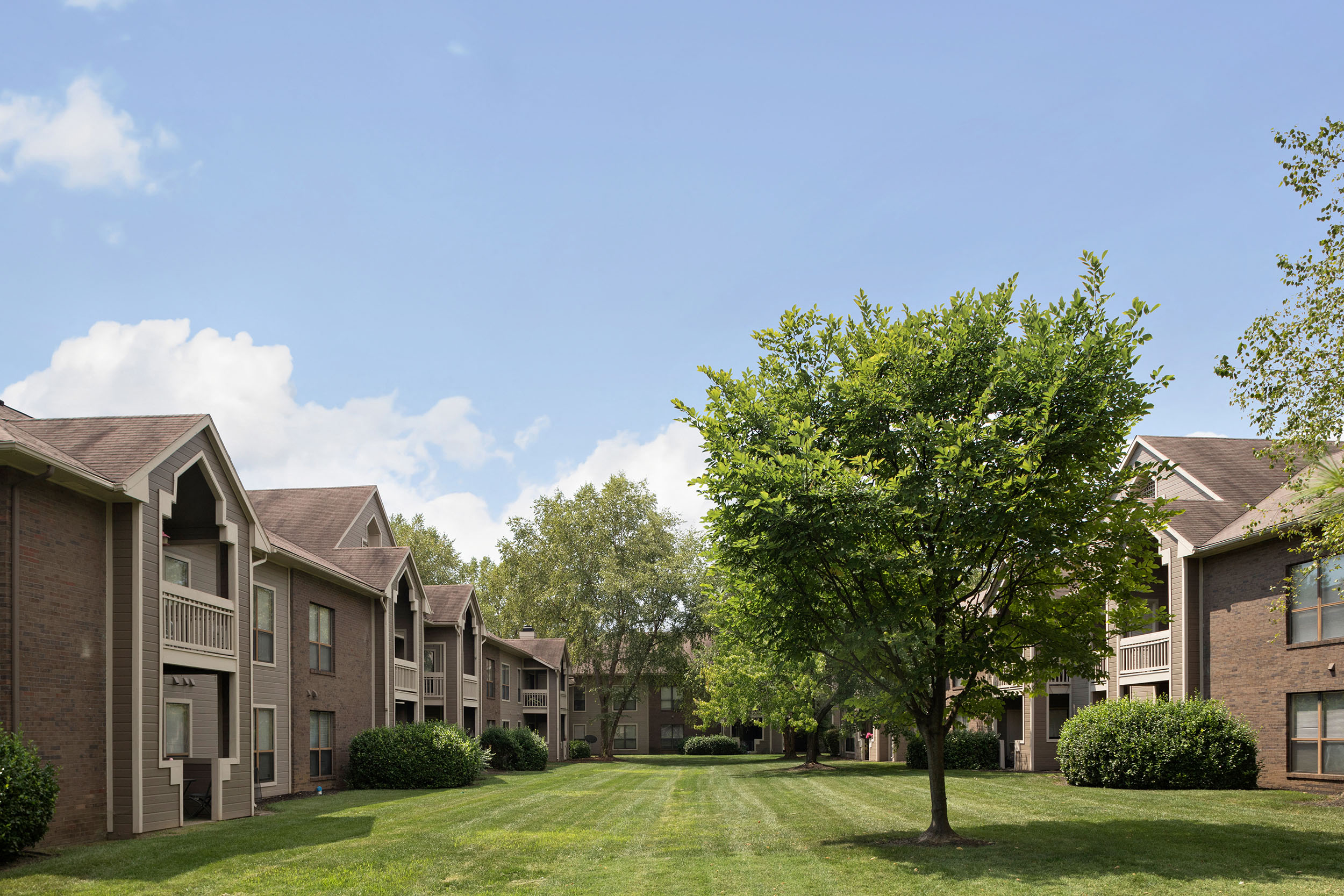 Meadows Apartment Homes IRT Living